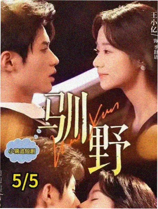 剧集标本 026 号档案封面